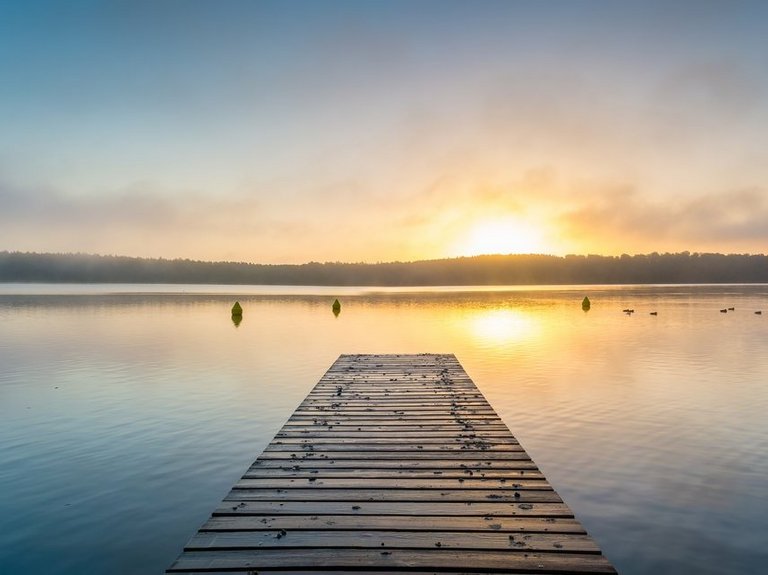 Sonnenaufgang am See mit Nebel - Panorama naturbild-seestimmung mit steg-sonnenspiegelung auf dem wasser